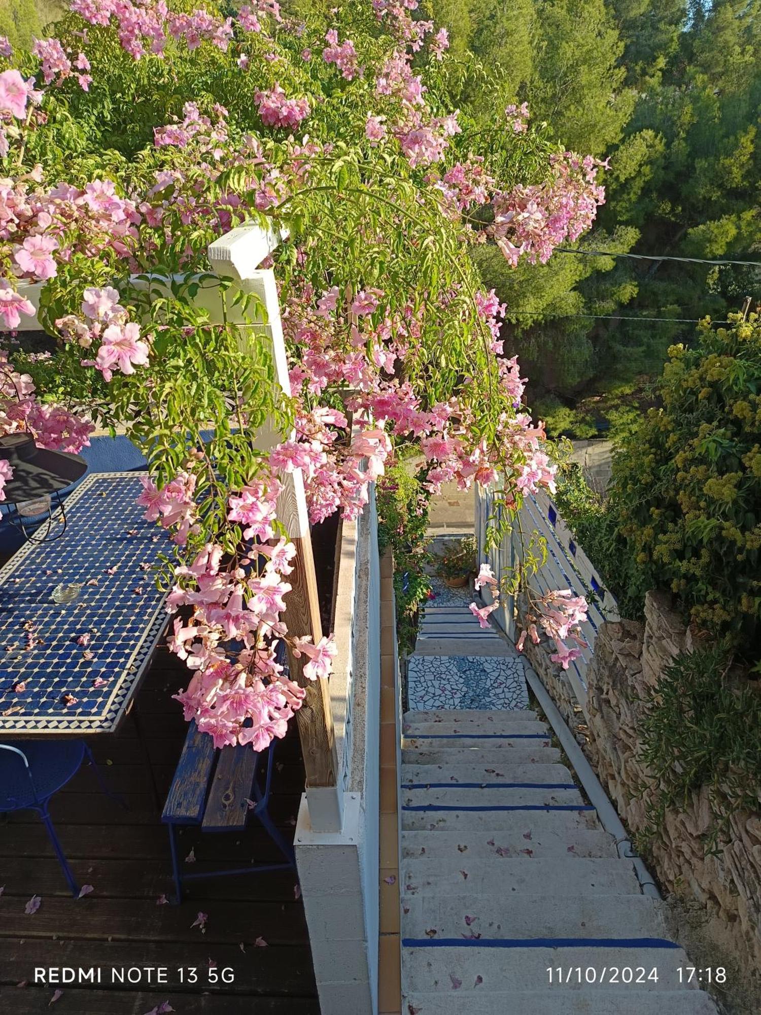 Apartment Independant Terrasse Entre Et Collines Marseille