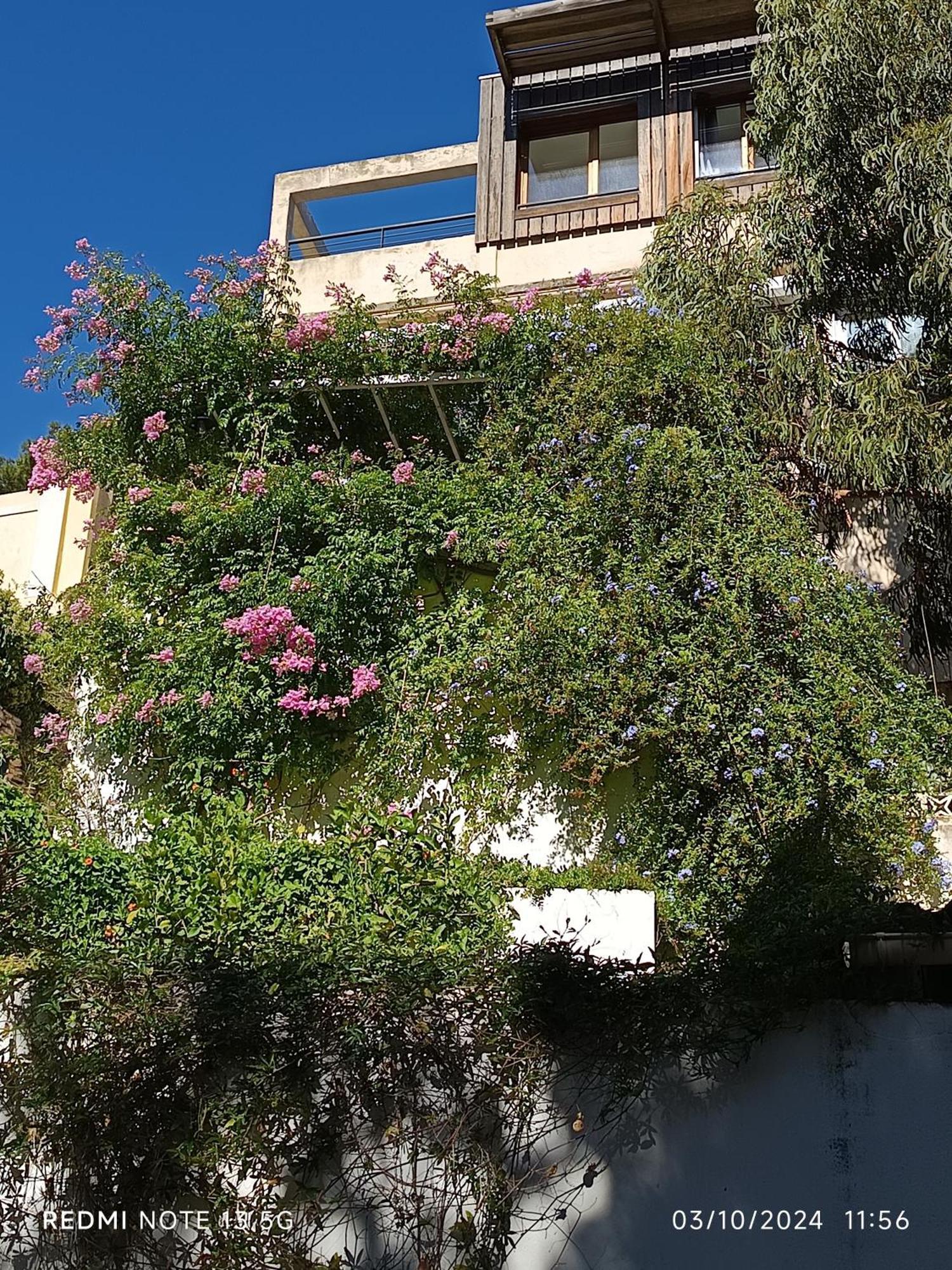 Independant Terrasse Entre Et Collines Appartement *